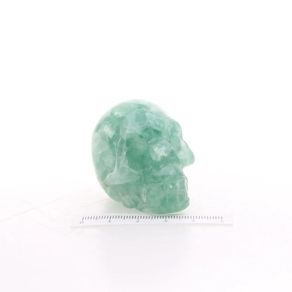 Fluoriet Skull - Image 2