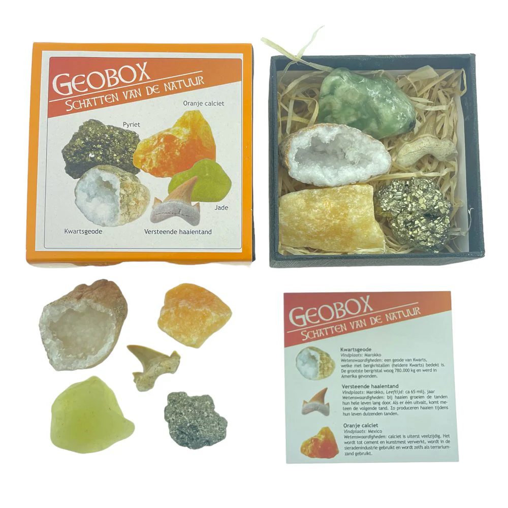 Geobox mineralen fossielen doos - Image 2