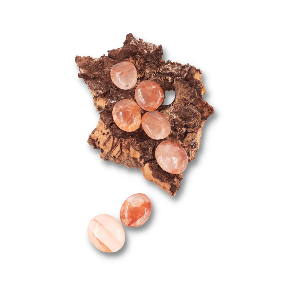 Miniatuur 2