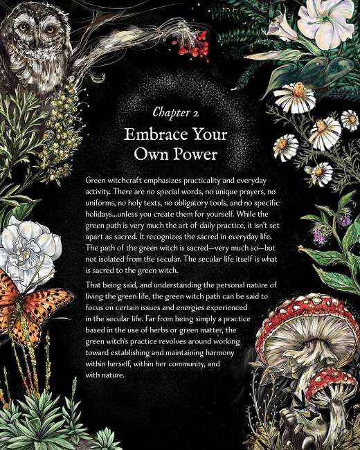 Green Witch Illustrated - Image 2