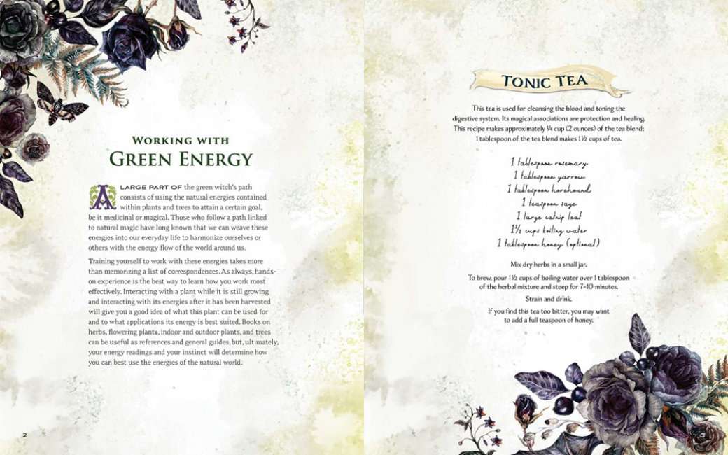Green Witch Illustrated - Image 3