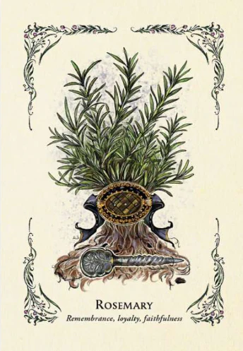 The Green Witch's Oracle - Image 2