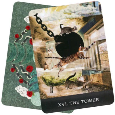 Grimalkin's Curious Cats Tarot - Image 3