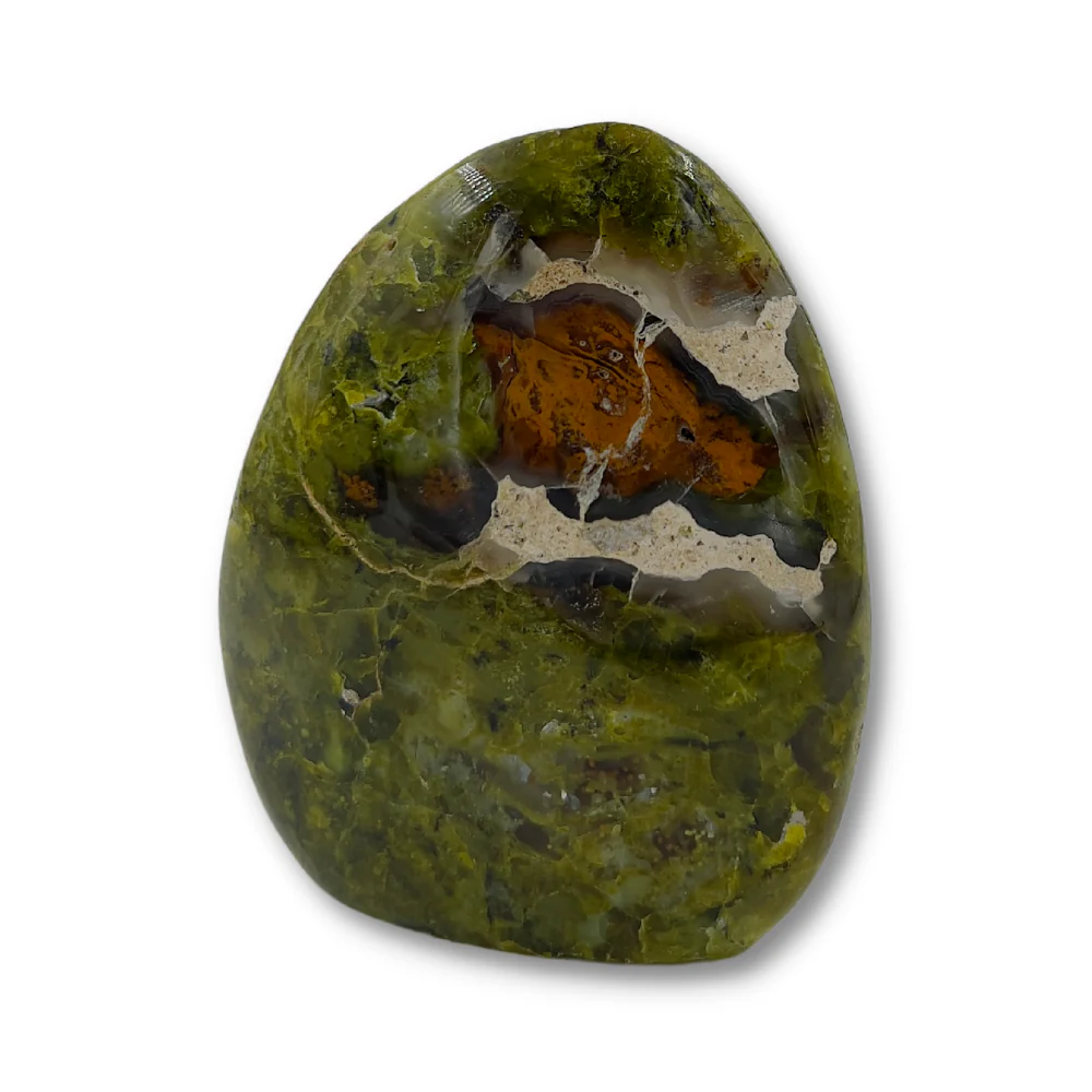 Miniatuur 1