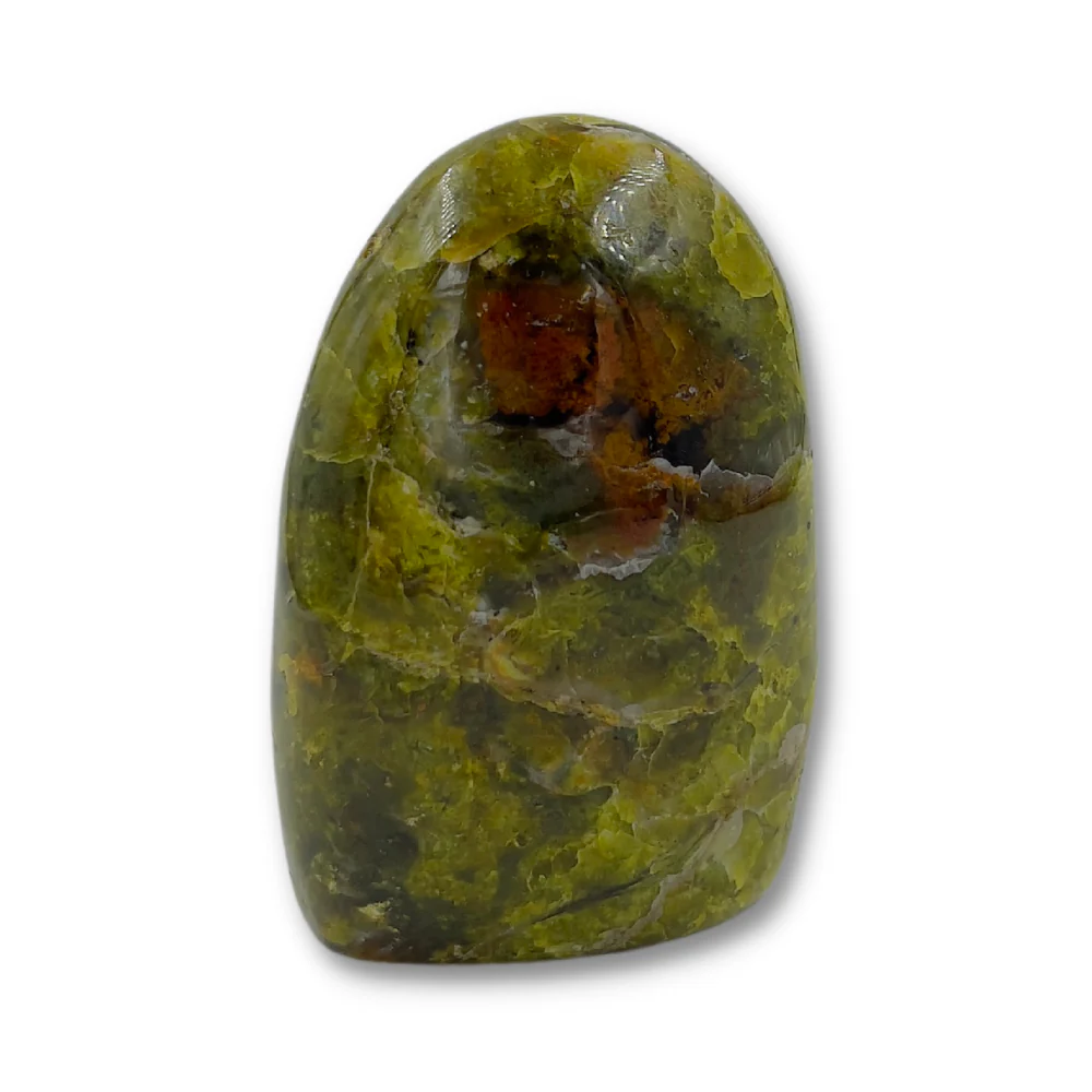 Miniatuur 1