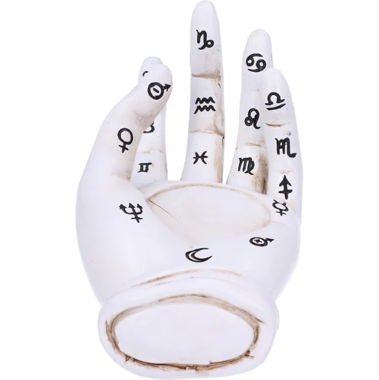 Handpalm Prediction - Wit - Image 4