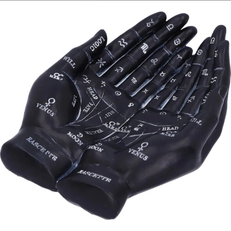 Handpalmgids - Zwart - Image 3