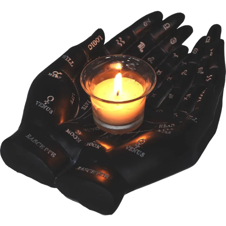 Handpalmgids - Zwart - Image 4