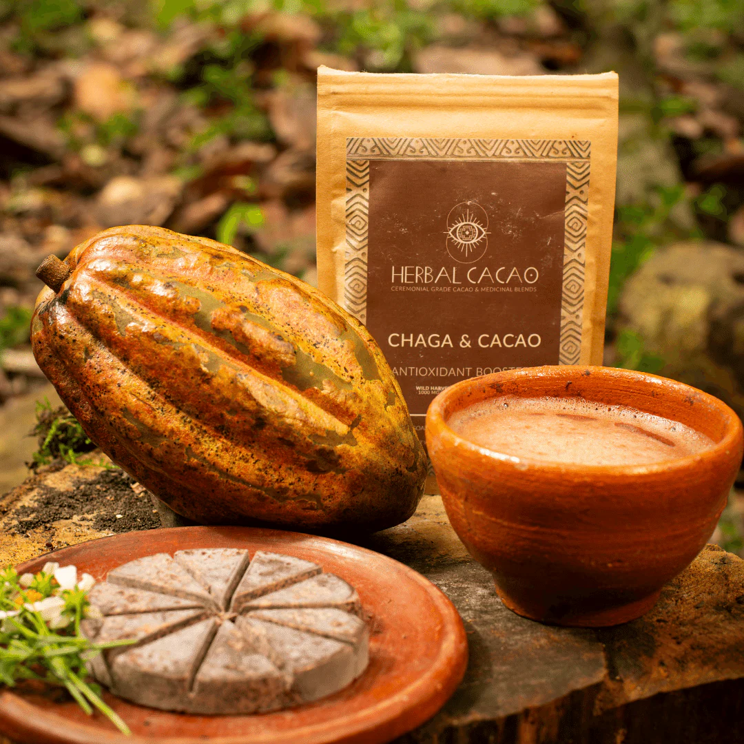 Herbal Cacao Chaga & Cacao - Divine Strength - Image 4