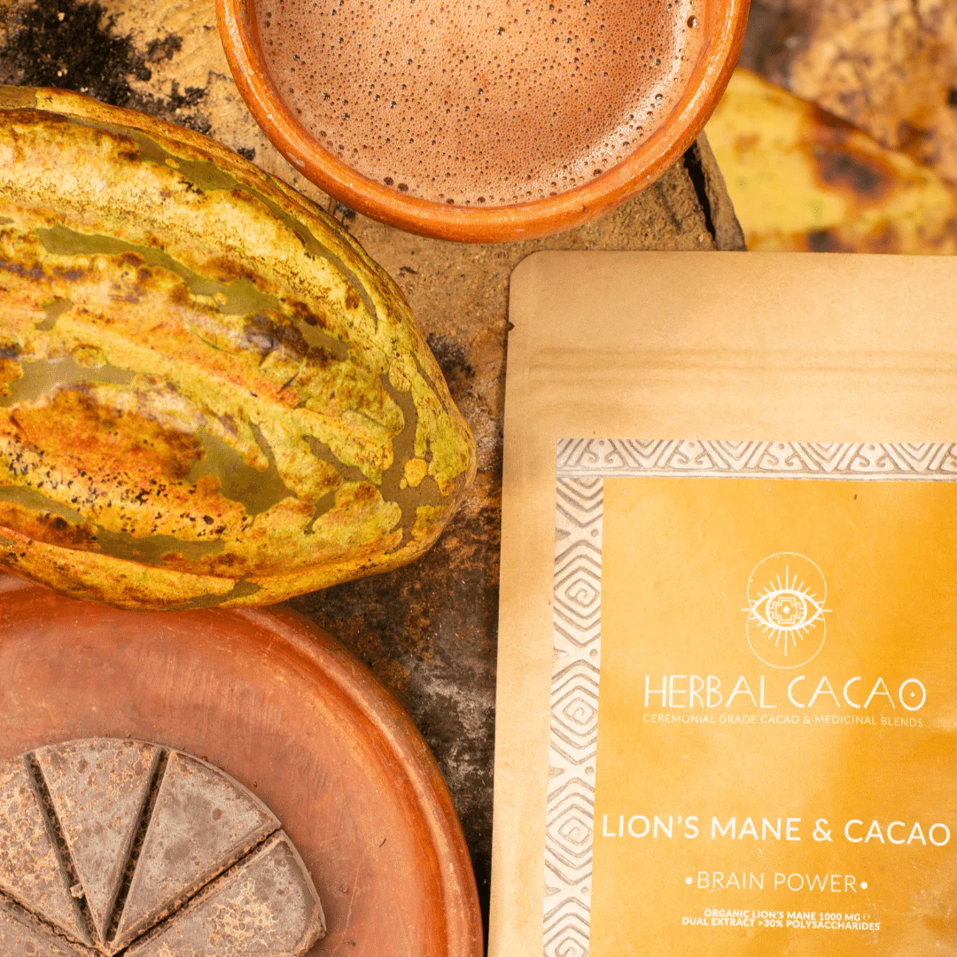 Herbal Cacao Lion's Mane & Cacao - Golden Focus - Image 5