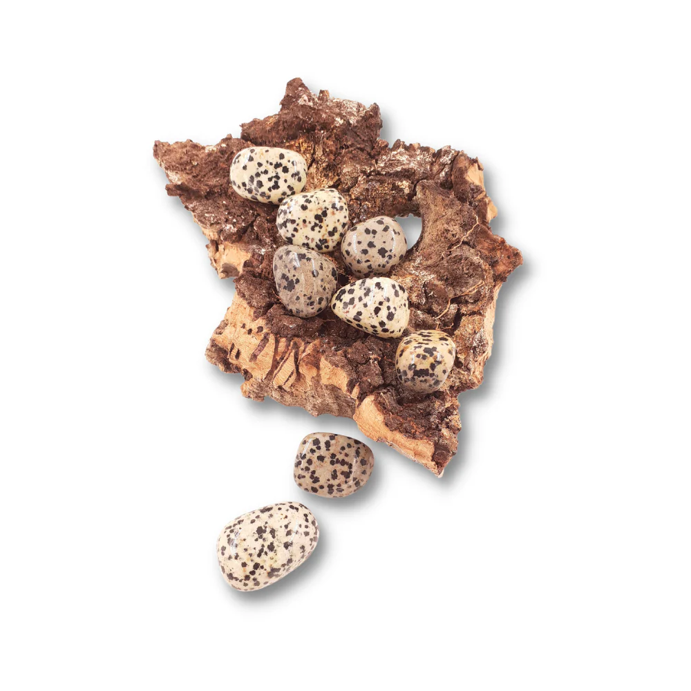 Jaspis Dalmatiër trommelsteen - Image 2