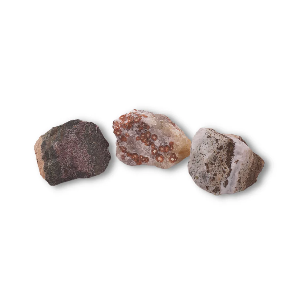 Miniatuur 1