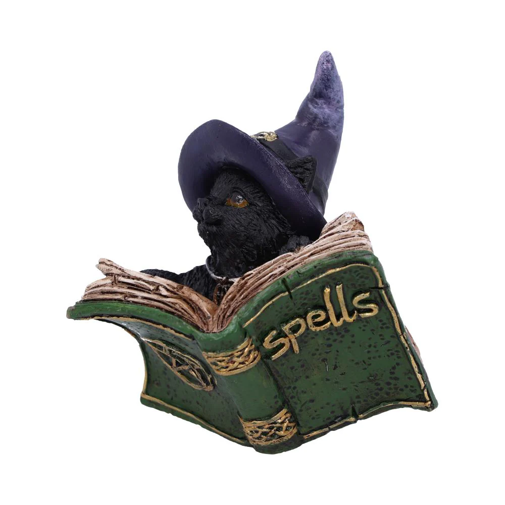 Kitty’s Grimoire (Green) - Image 2