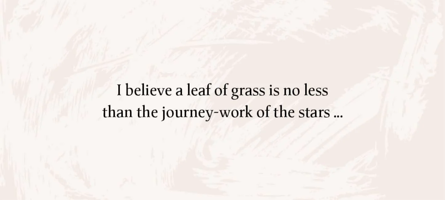 Leaves of Wisdom - Image 4
