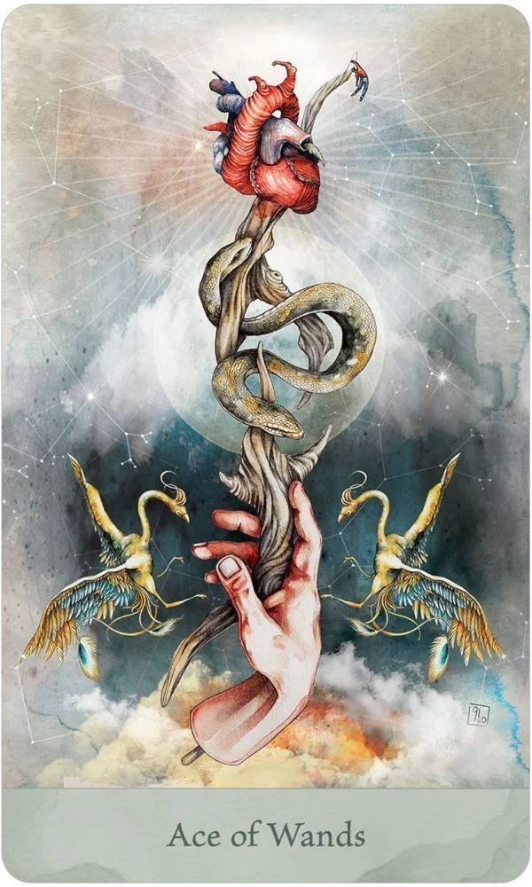 Lorenzi Tarot - Image 4