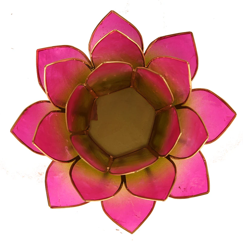 Miniatuur 2