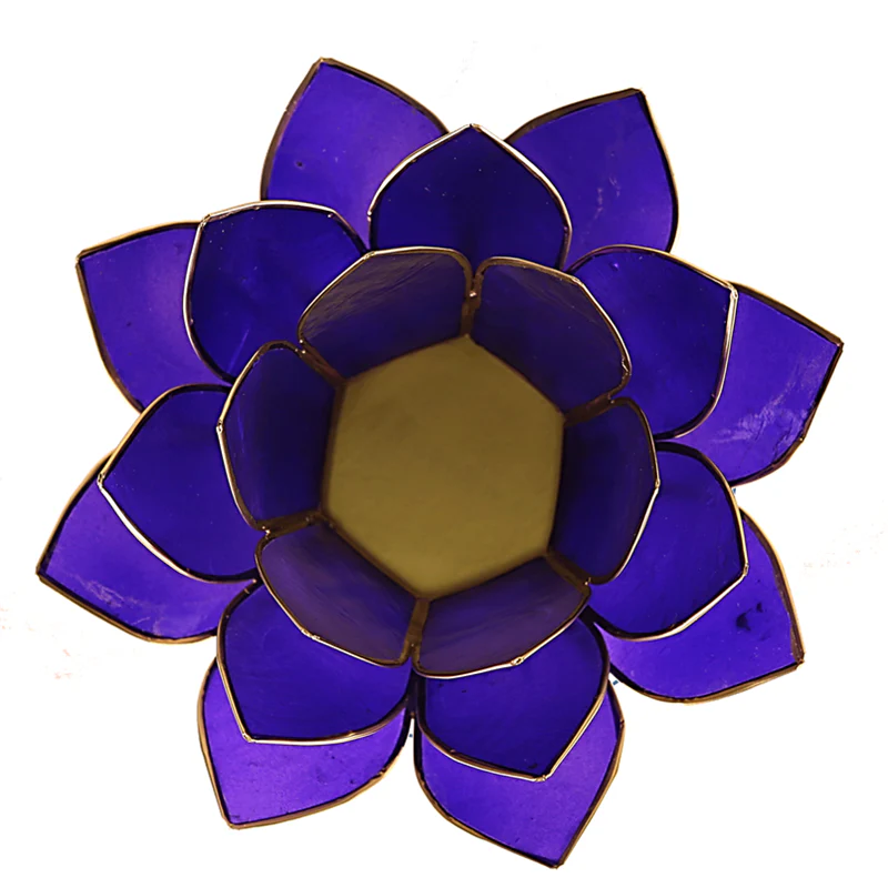 Miniatuur 2