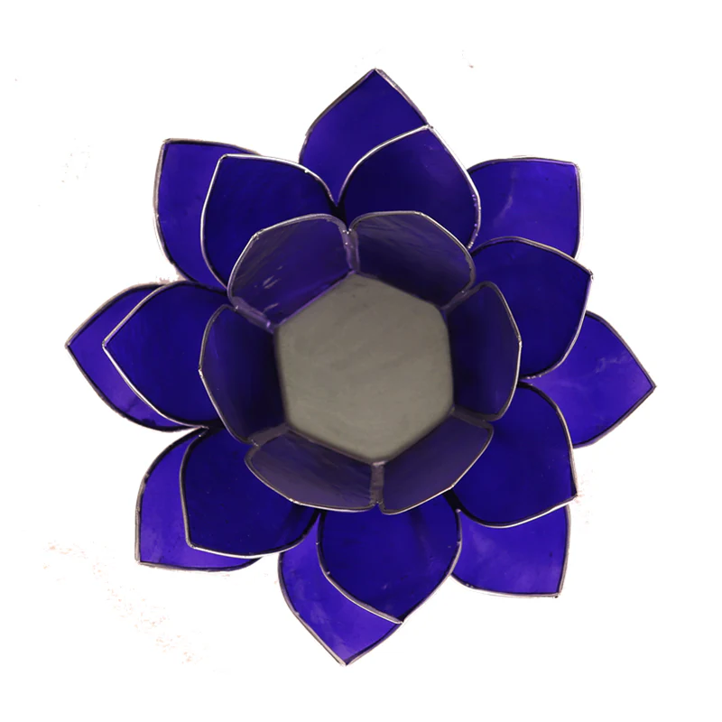 Miniatuur 2
