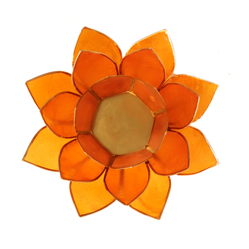 Miniatuur 2