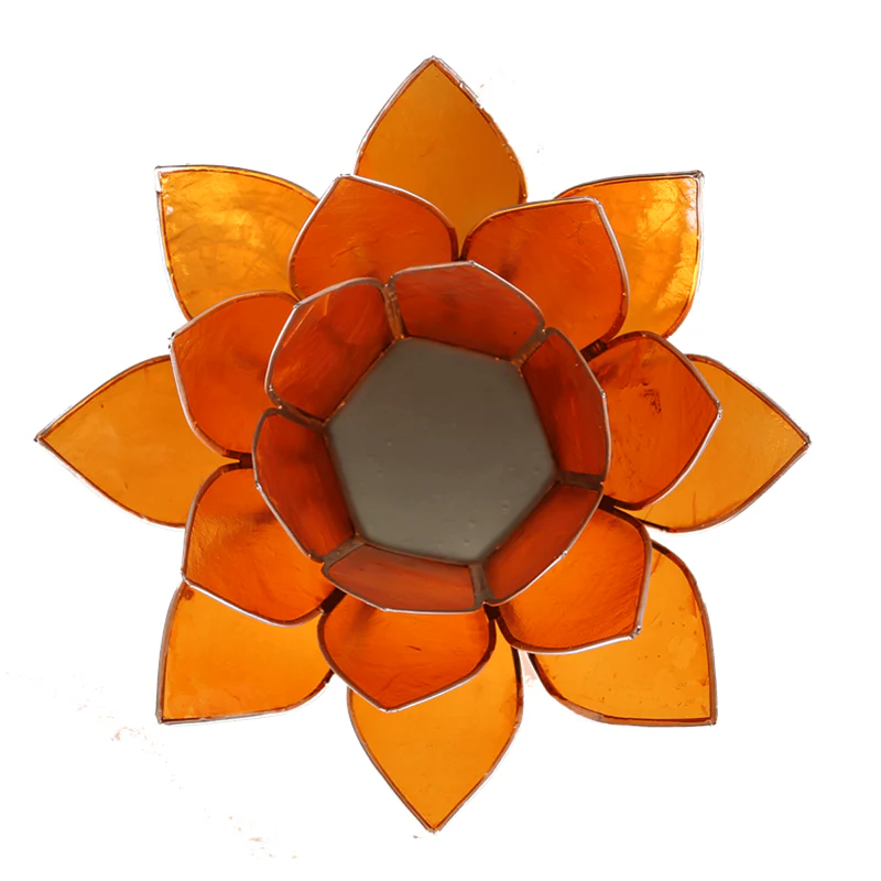 Miniatuur 2