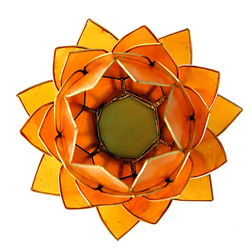 Miniatuur 2