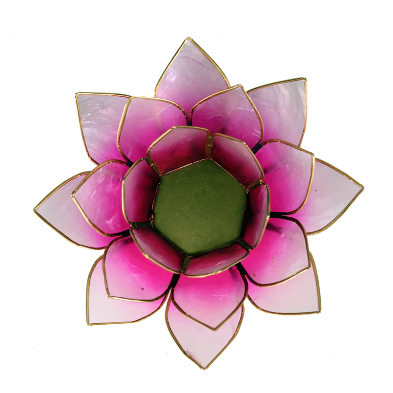 Miniatuur 2