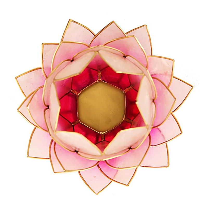 Miniatuur 2