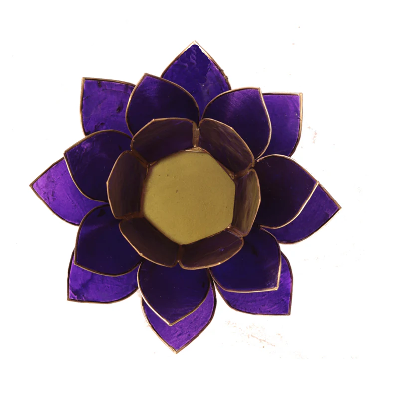 Miniatuur 2