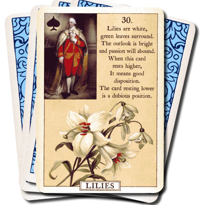 Blue Bird Madame Lenormand - Image 5