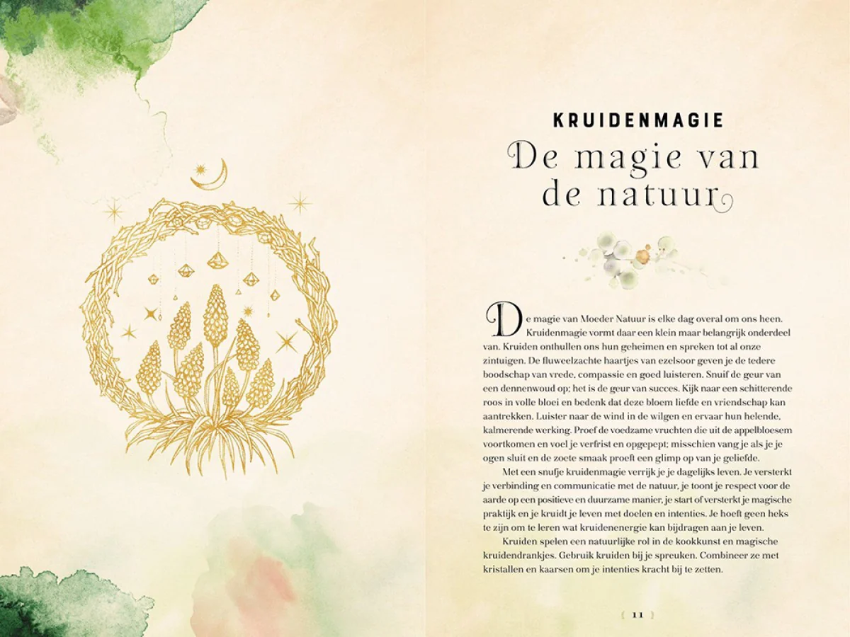Magie van kruiden - Image 2