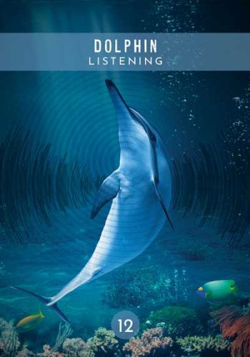 Messages from the spirits of nature Oracle - Image 3