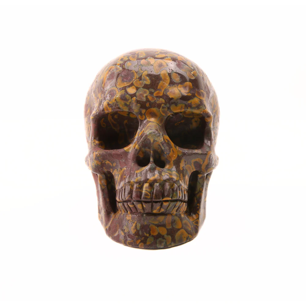 Miniatuur 1