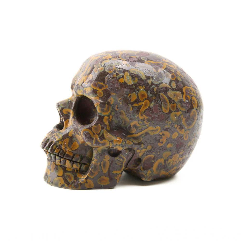 Oöliet Skull - 1 - Image 3