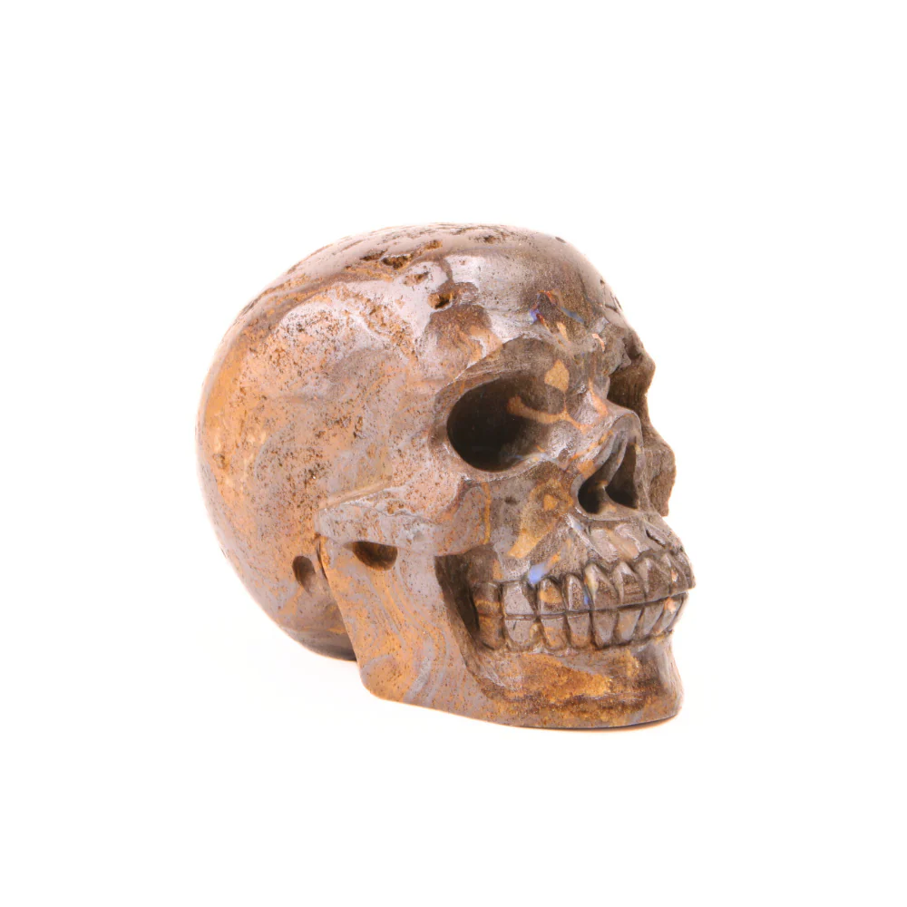 Opaal Boulder Skull - 1 - Image 4