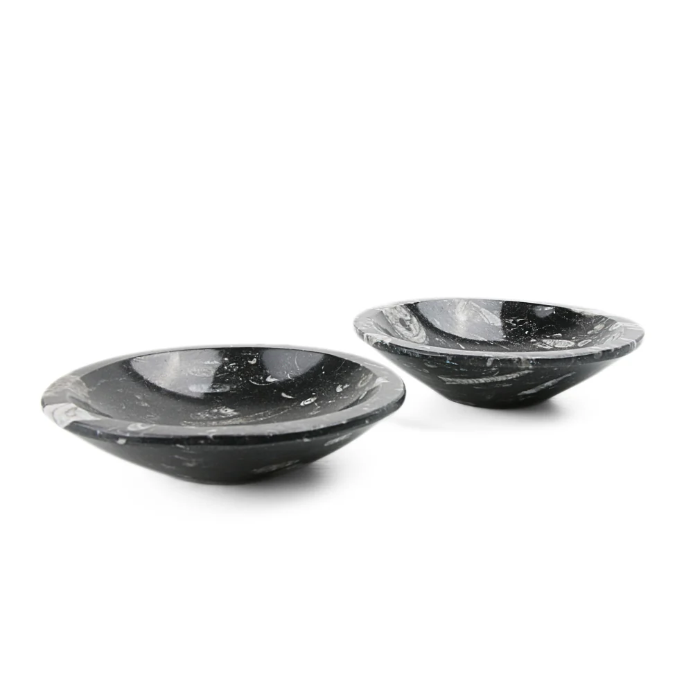 Orthoceras schaaltje - Image 3