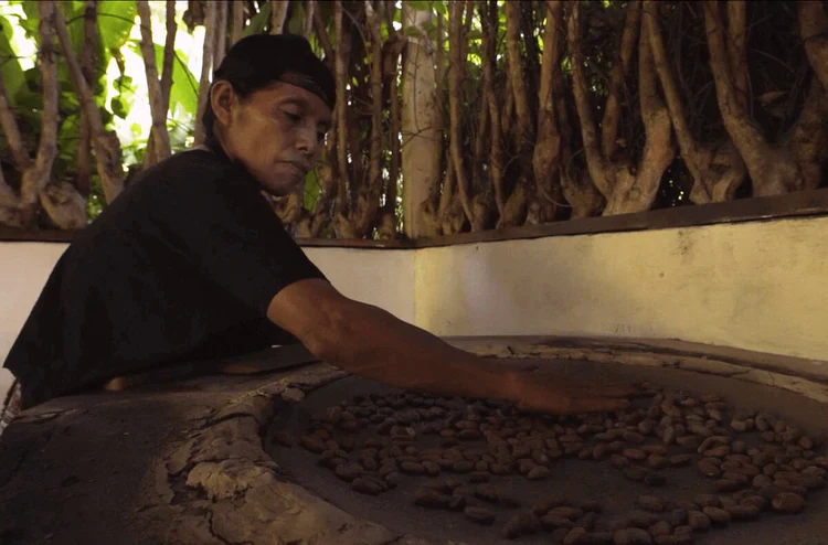Pure Kakaw - Alta Verapaz: 100% cacao uit Guatemala *** - Image 5