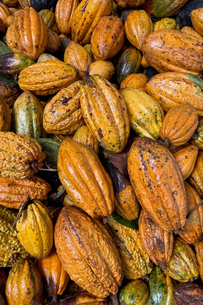Pure Kakaw - Cusco: 100% cacao uit Peru - Image 2