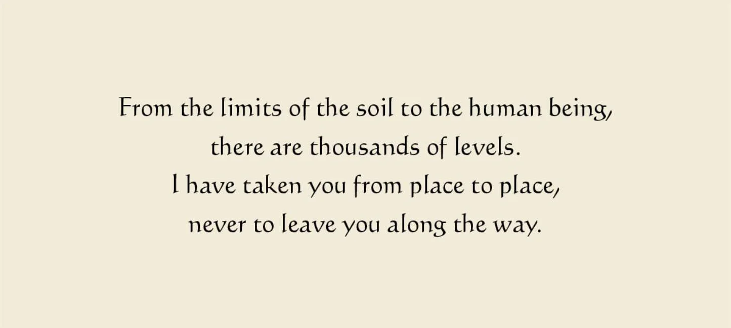 Rumi: Jewels of Wisdom, Healing and Guidance - Image 3