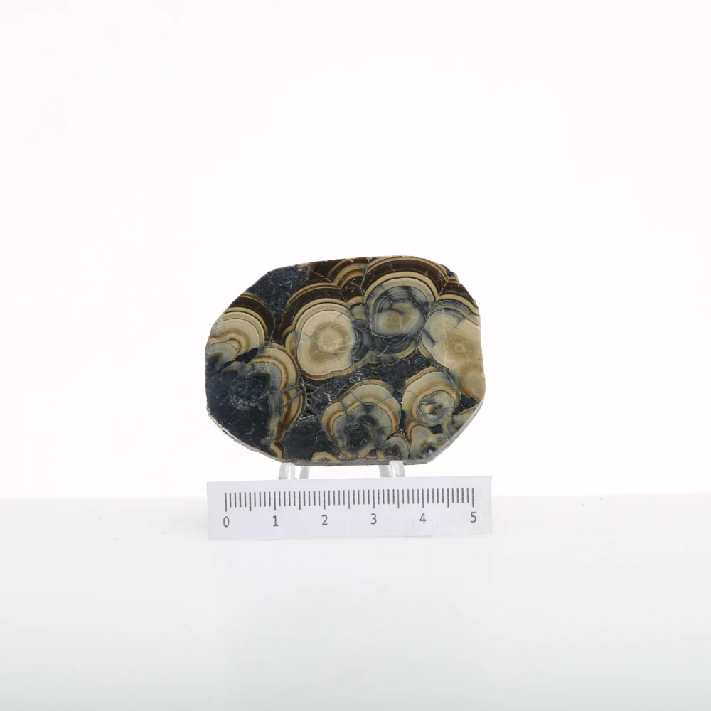 Schalenblende Schrijf - Image 2