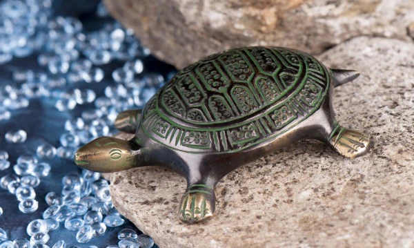Miniatuur 1