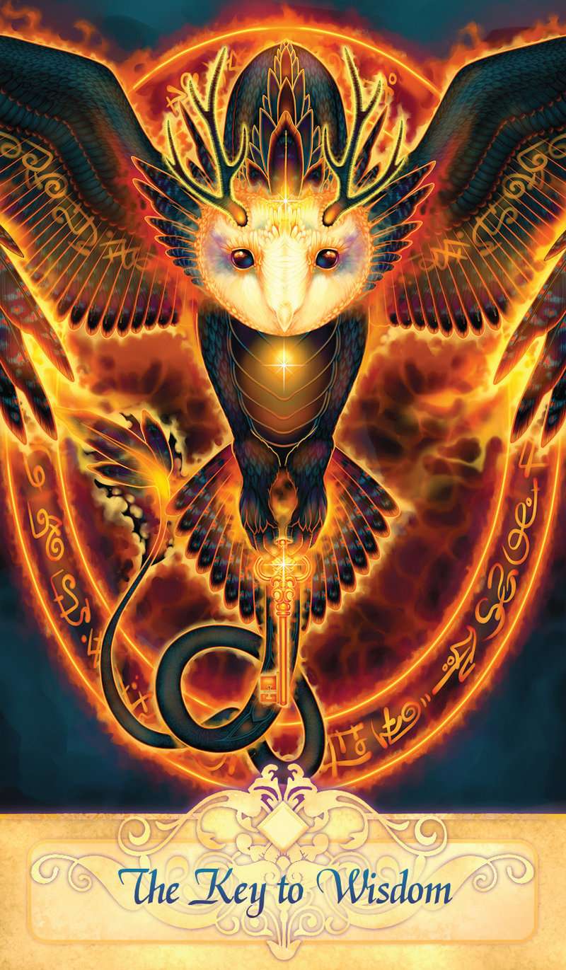 Seeker Oracle - Image 2
