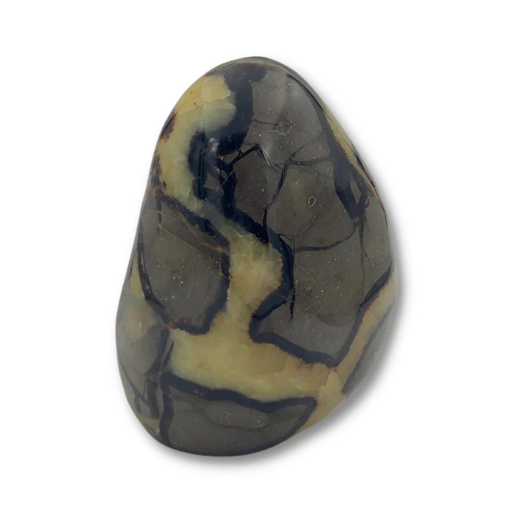 Septarien Staand 1 - Image 3