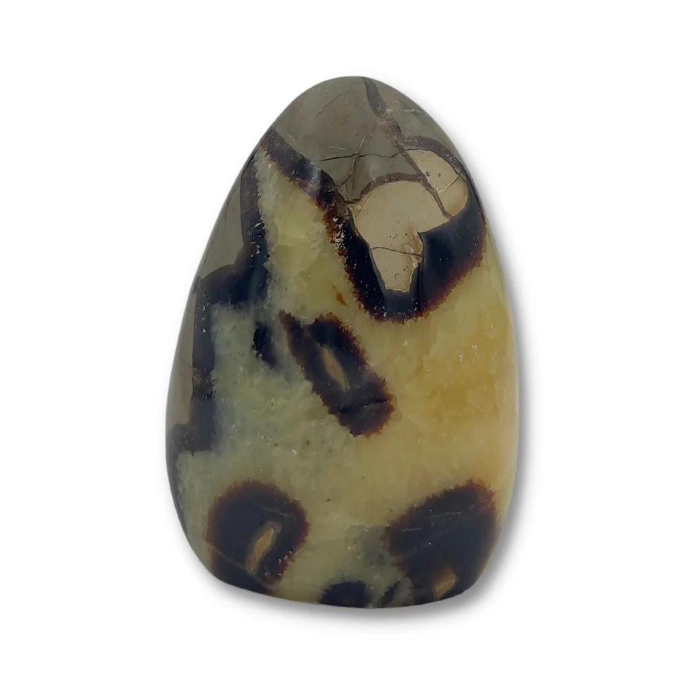 Miniatuur 1
