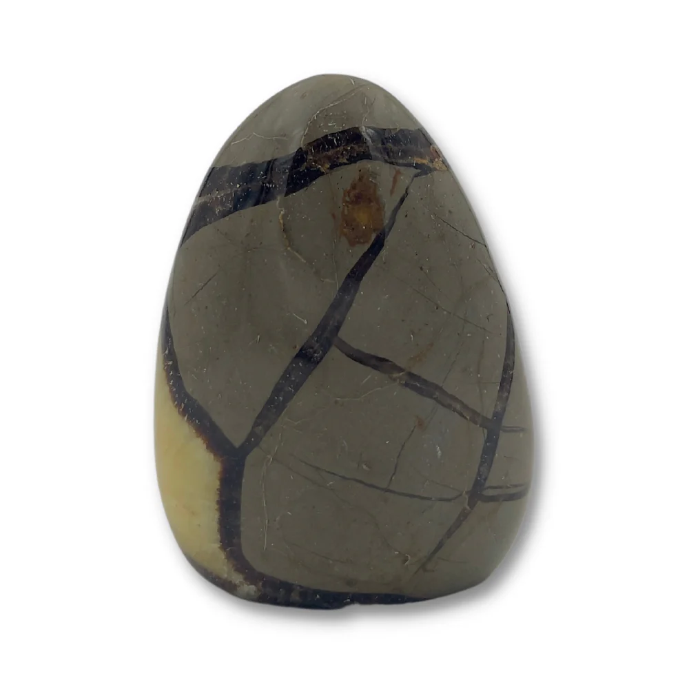 Septarien Staand 2 - Image 3