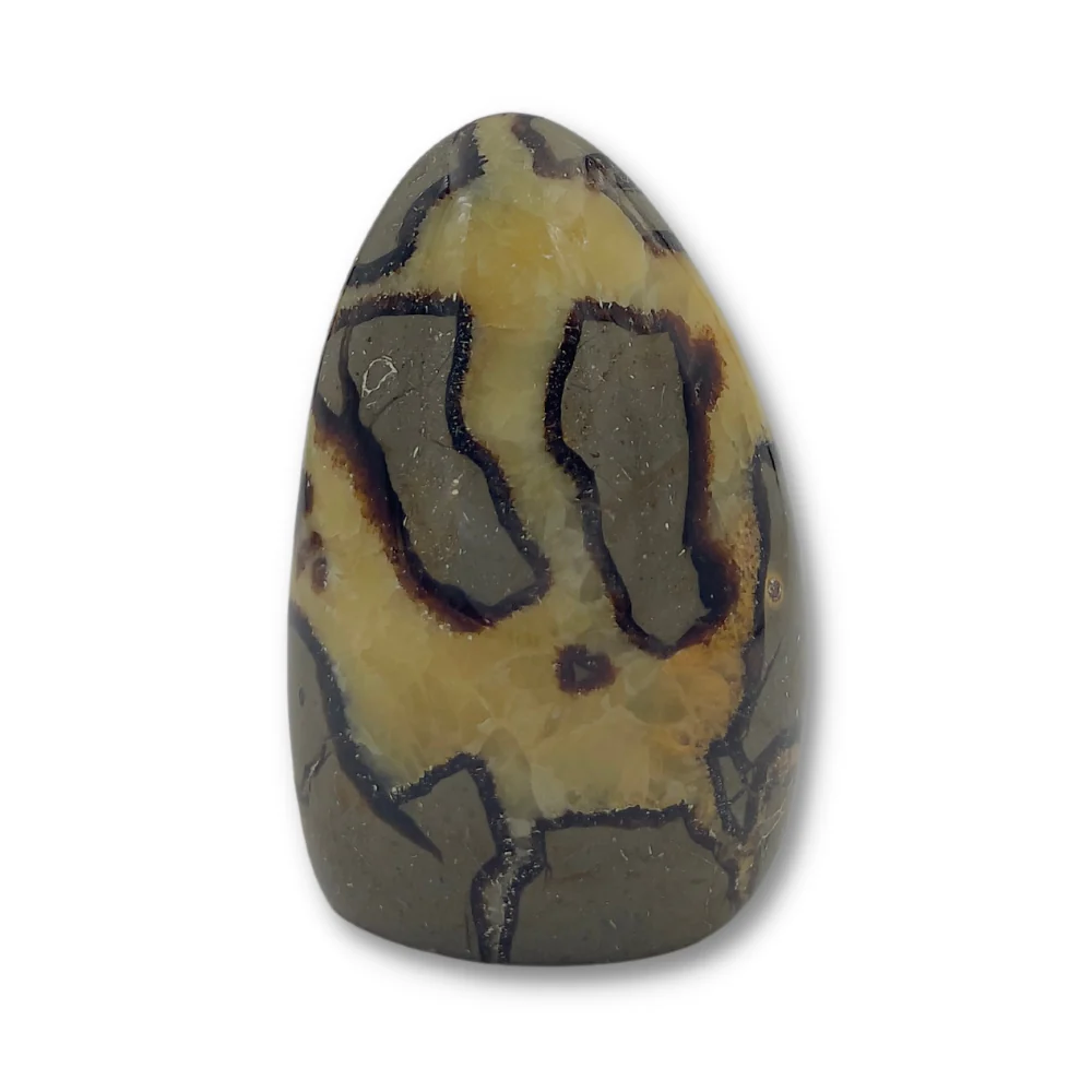 Miniatuur 1