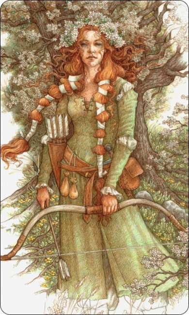 Sherwood Oracle - Image 4