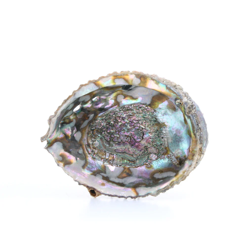 Miniatuur 1