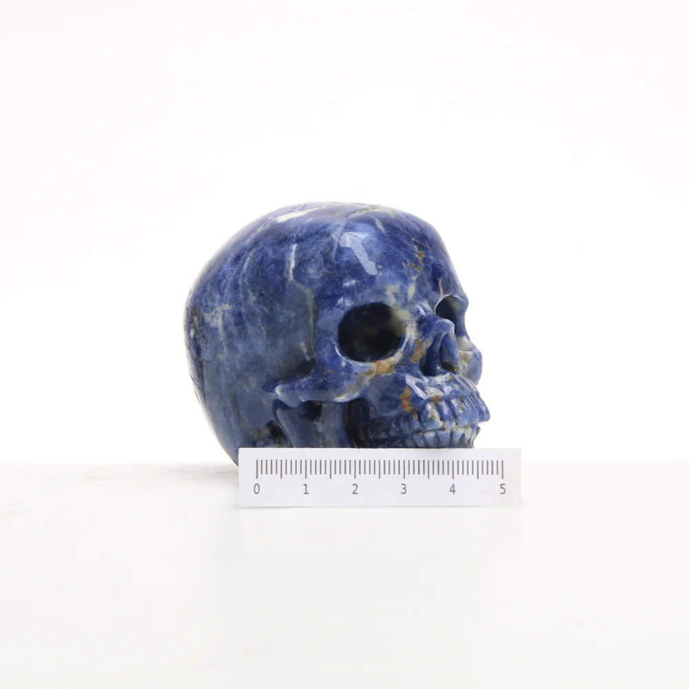 Sodaliet Skull - Image 3