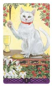 Tarot of the Pagan cats mini - Image 3