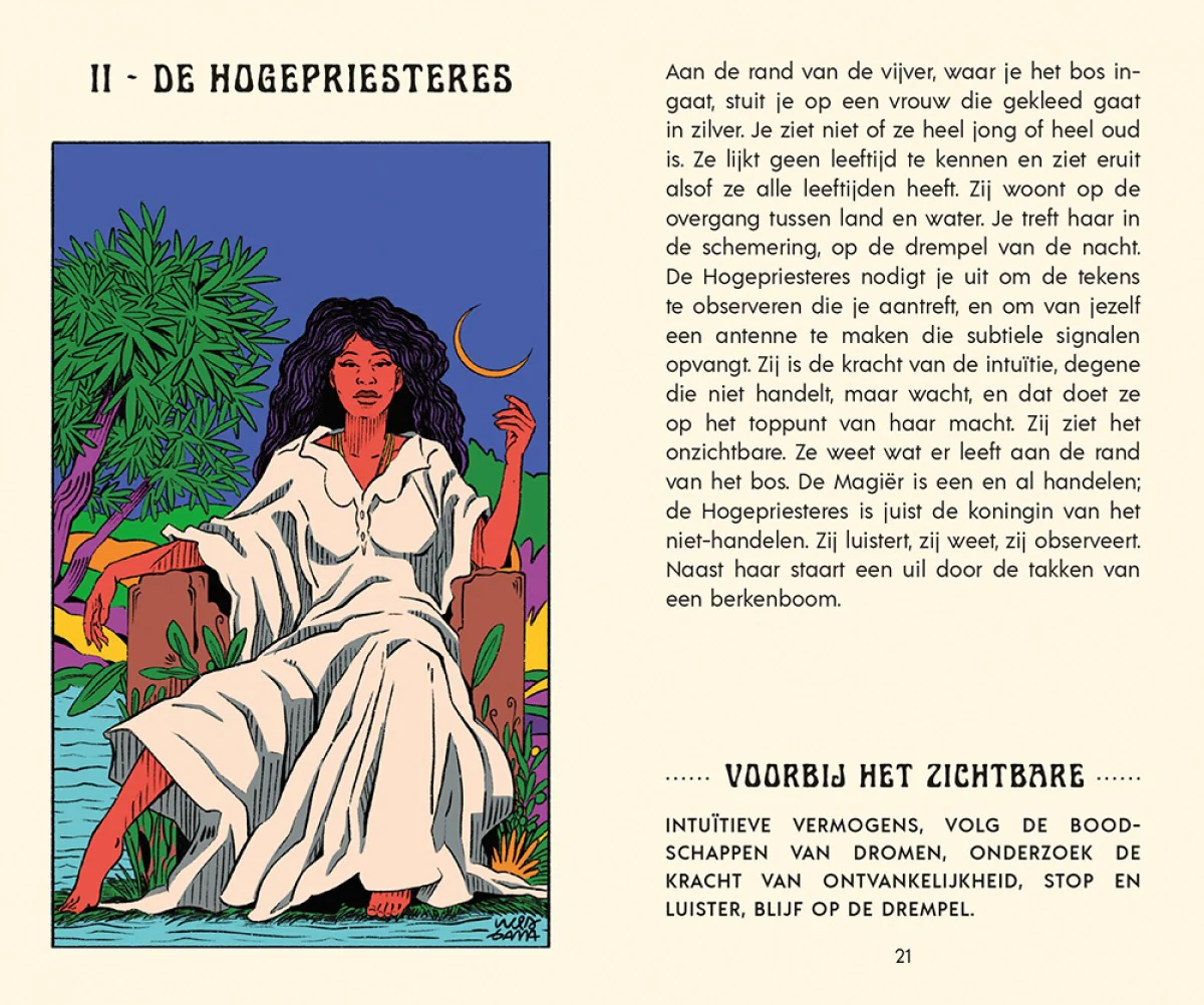 Tarot van het mystieke bos - Image 2